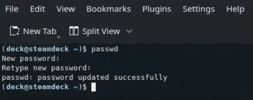 setting a steam deck password in a terminal